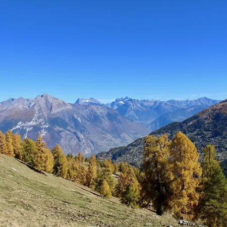 Spacious With View Appartement