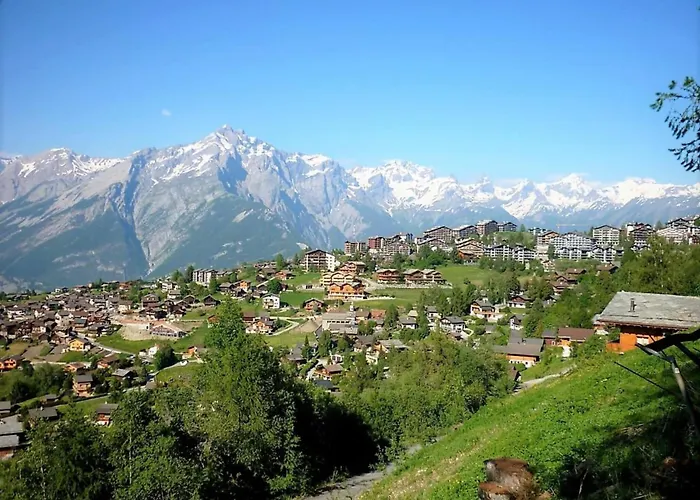 Spacious With View * Nendaz