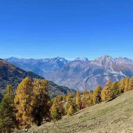 Spacious With View Lejlighed Nendaz
